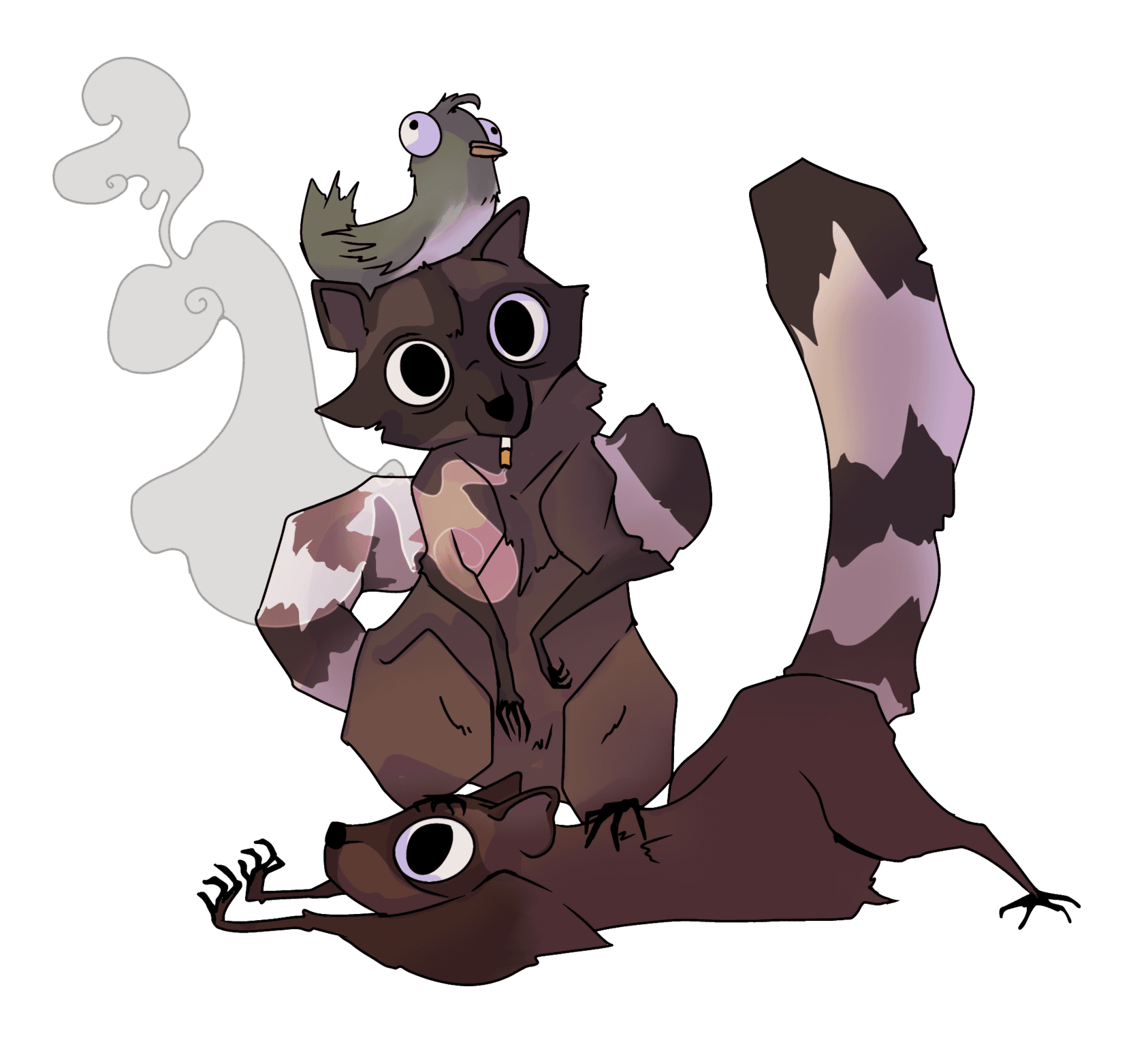 Raccoon